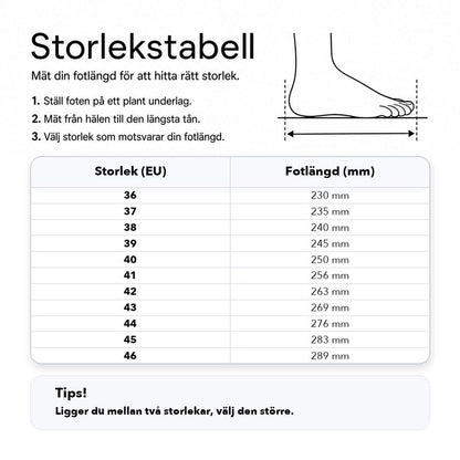 Storlekstabell för sneakers: EU-storlek 36–46 och fotlängd i mm
